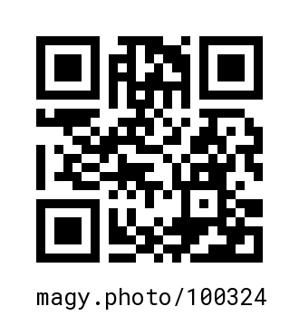 QR Code #100324
