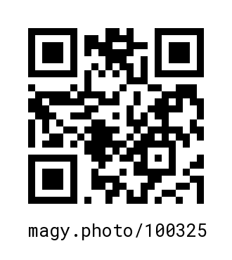 QR Code #100325