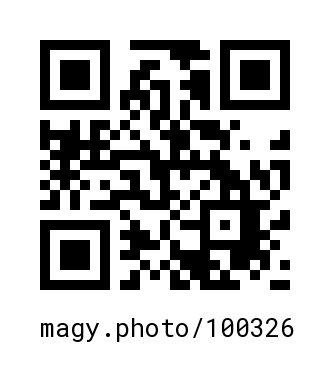 QR Code #100326