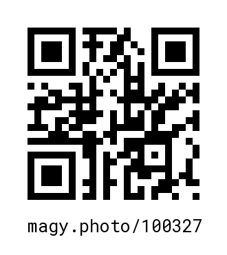 QR Code #100327