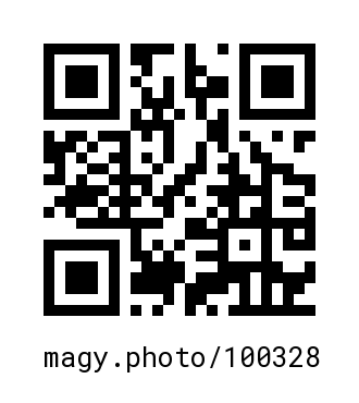 QR Code #100328