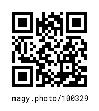 QR Code #100329