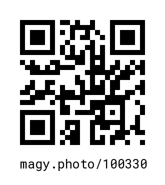 QR Code #100330