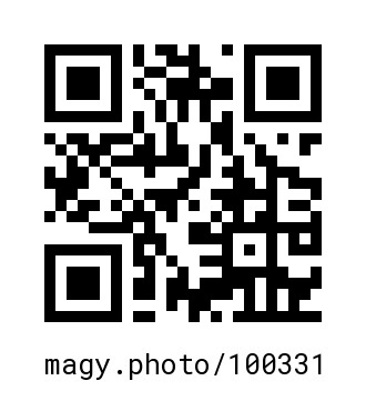 QR Code #100331