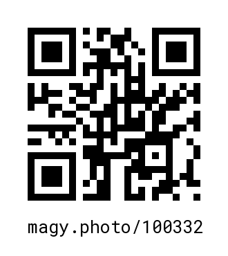 QR Code #100332