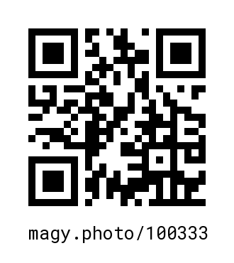 QR Code #100333