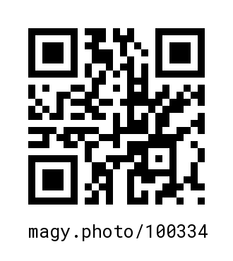 QR Code #100334