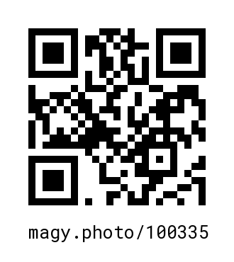 QR Code #100335