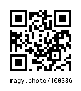 QR Code #100336