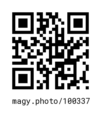 QR Code #100337