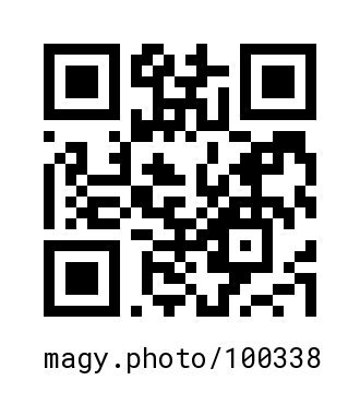QR Code #100338
