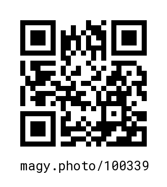 QR Code #100339