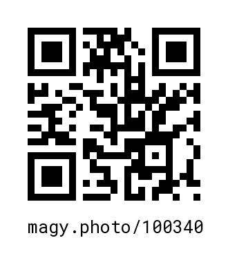 QR Code #100340