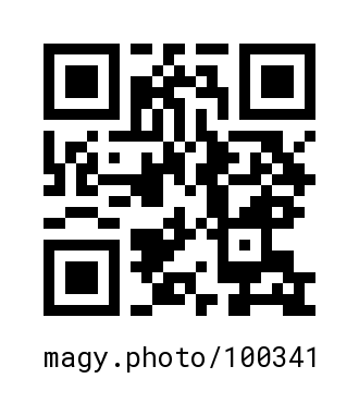 QR Code #100341