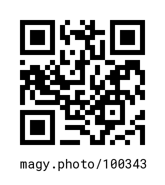 QR Code #100343