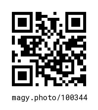 QR Code #100344