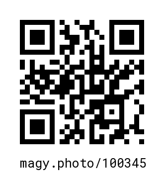 QR Code #100345