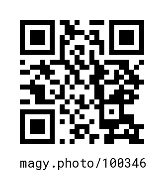 QR Code #100346