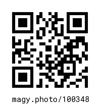 QR Code #100348