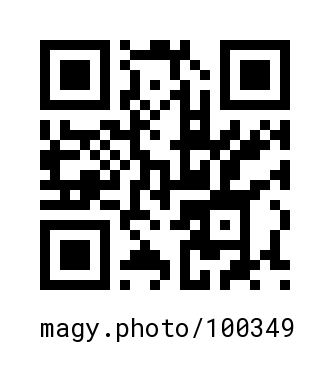QR Code #100349