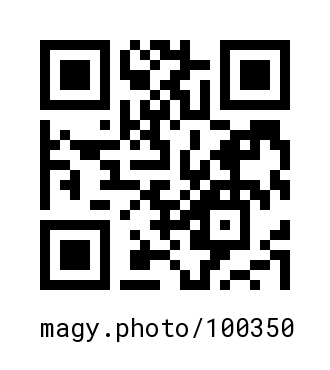 QR Code #100350