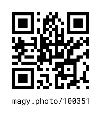 QR Code #100351