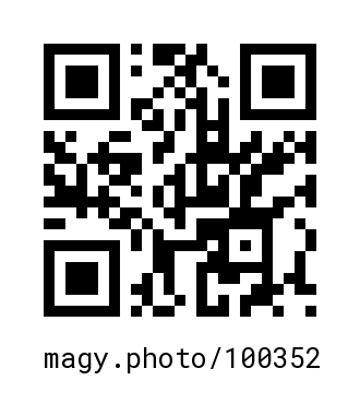 QR Code #100352