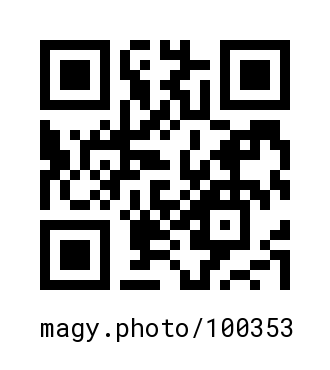 QR Code #100353