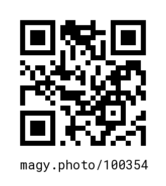 QR Code #100354