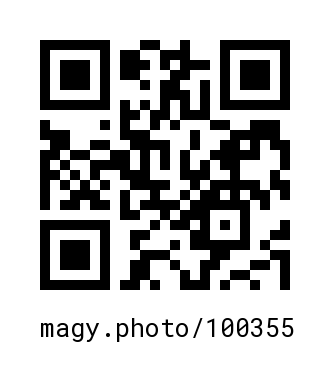 QR Code #100355