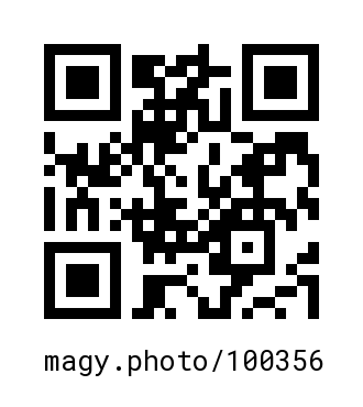 QR Code #100356