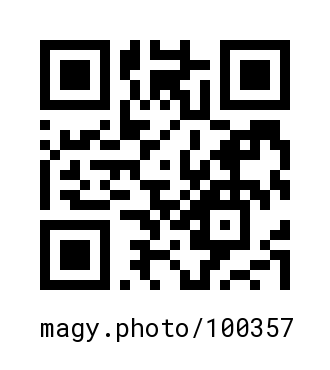 QR Code #100357