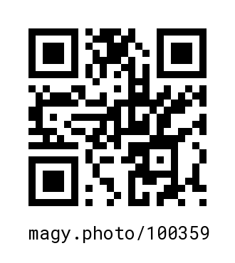 QR Code #100359