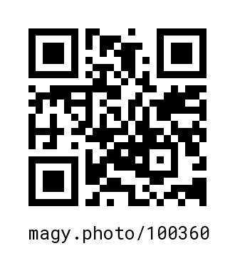 QR Code #100360