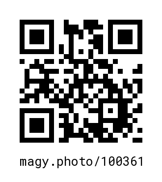 QR Code #100361