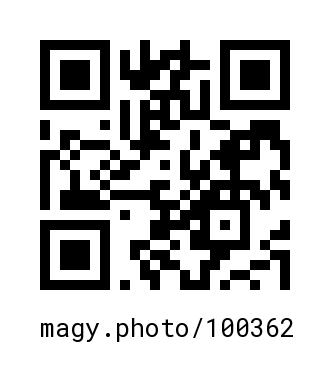 QR Code #100362