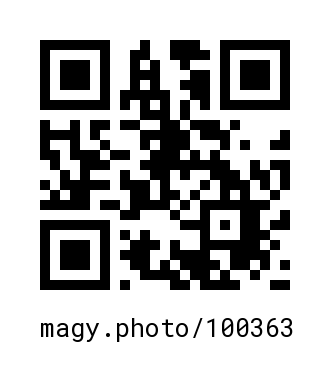 QR Code #100363